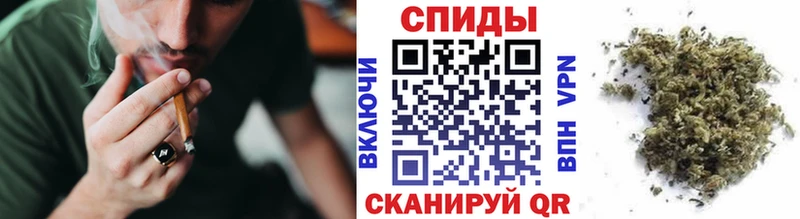 Бутират BDO  Купить где  Чекалин 