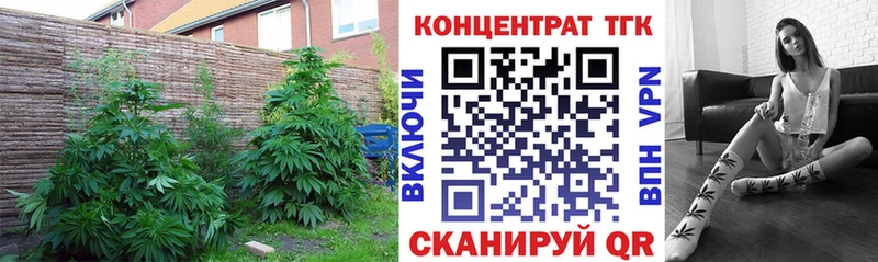 Купить  Чекалин  Дистиллят ТГК концентрат 