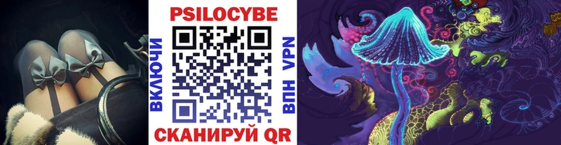 Галлюциногенные грибы Cubensis  Купить закладки  Чекалин 