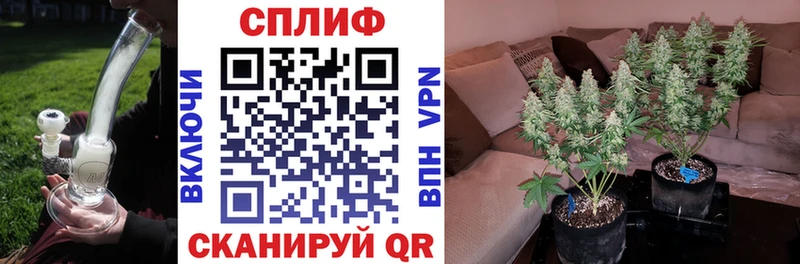 Шишки марихуана Bruce Banner Чекалин