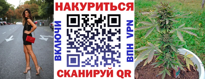 Купить где Чекалин Канабис Ganja